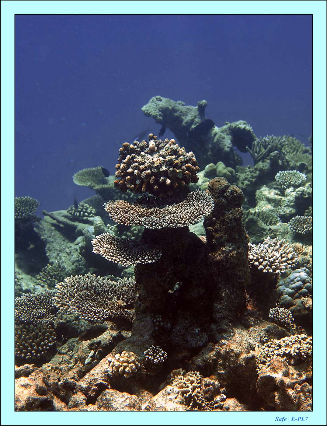 2023 - 07 - Sandies Bathala - 235